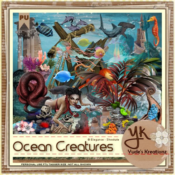 (image for) Ocean Creatures